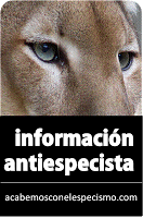 www.acabemosconelespecismo.com