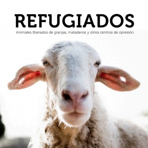 portada_refugiados