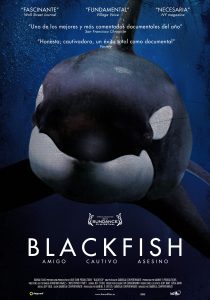 Blackfish